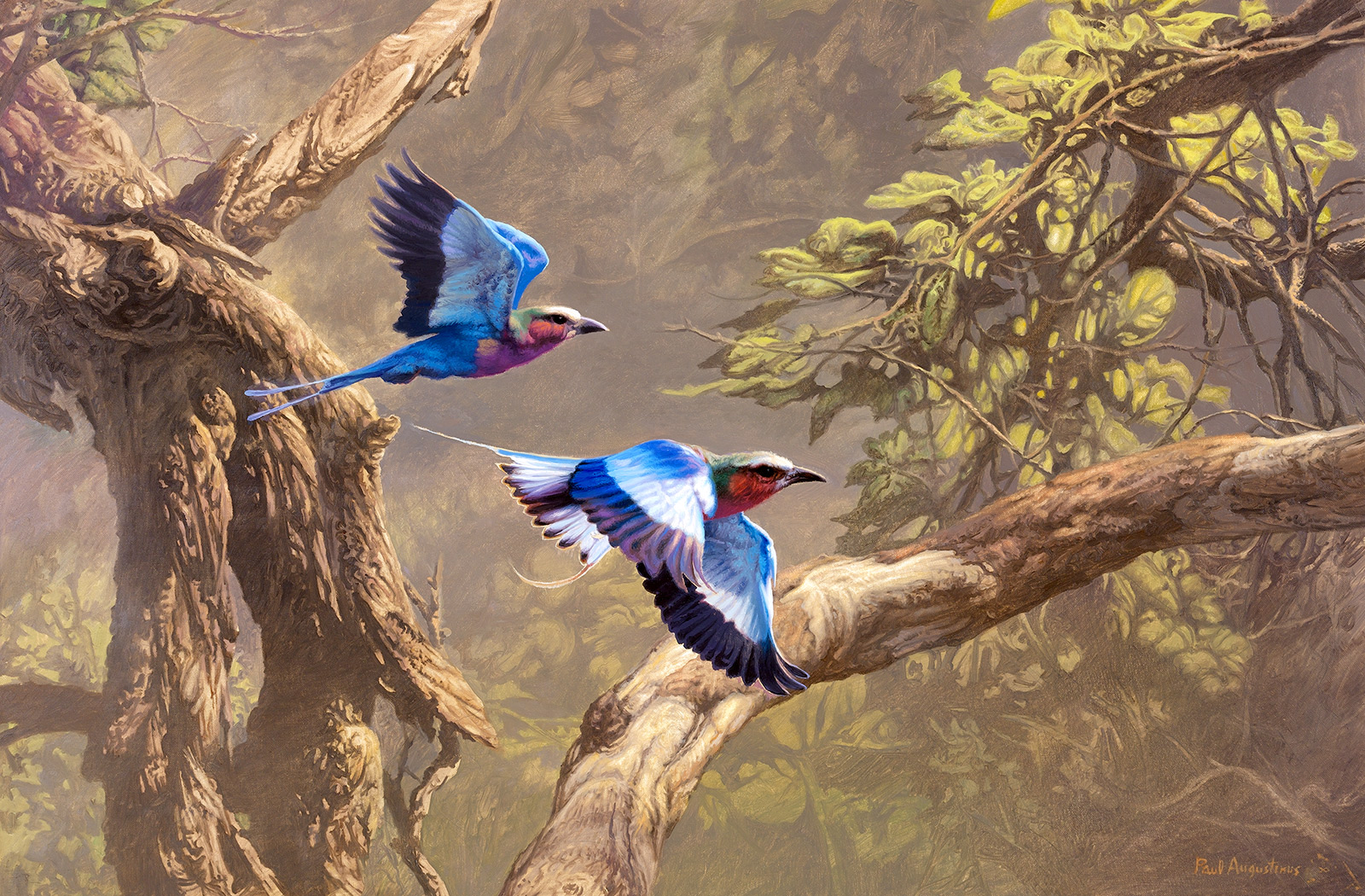 A Paul Augustinus painting of two multi coloured birds flying through undergrowth