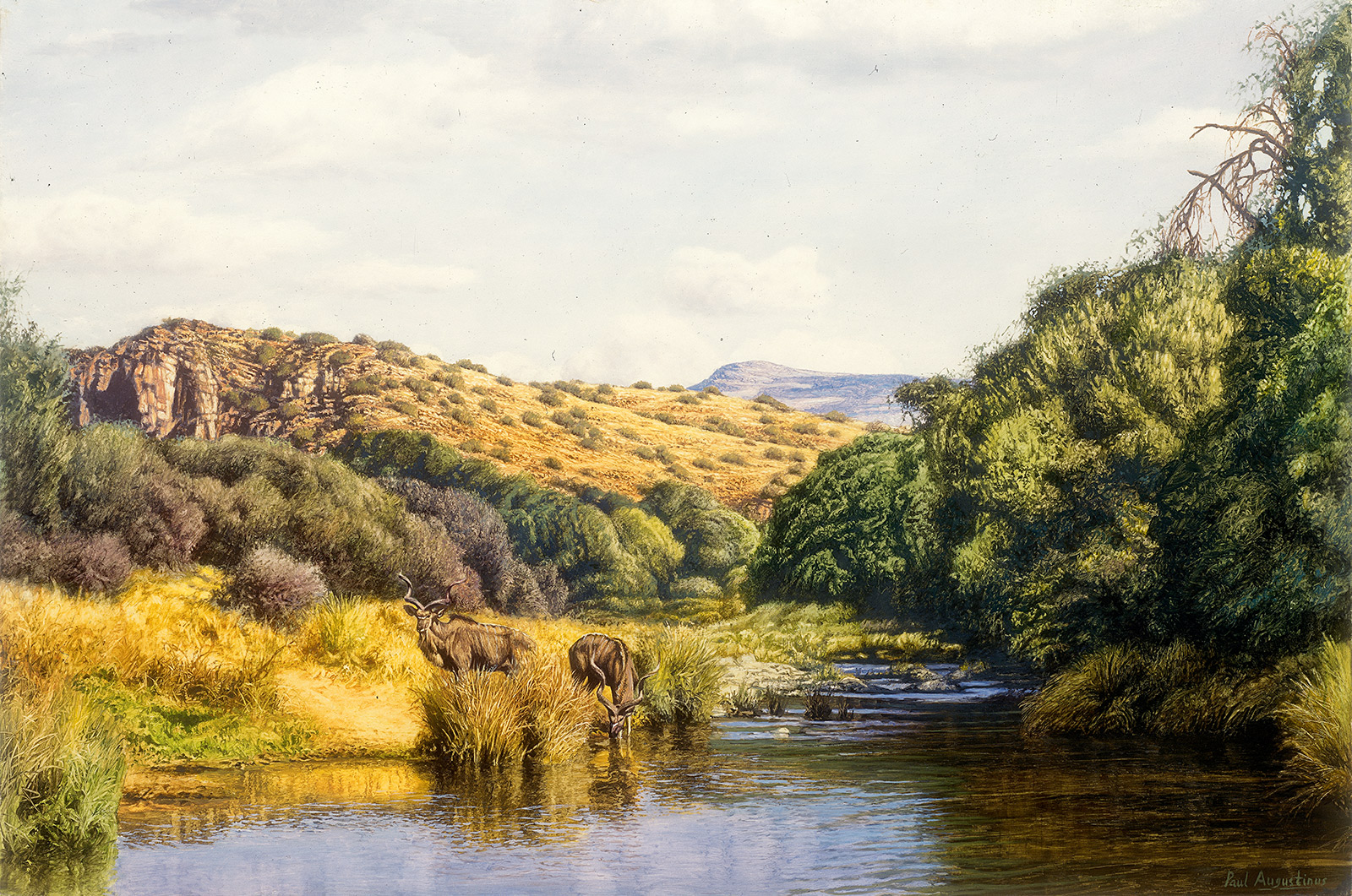 A Paul Augustinus painting of kudu at a dam in the Karoo, South Africa