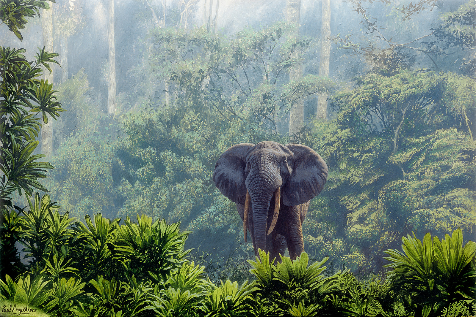 A Paul Augustinus painting of  a forest elephant posing in a clearing in the rainforest of Congo Brazzaville