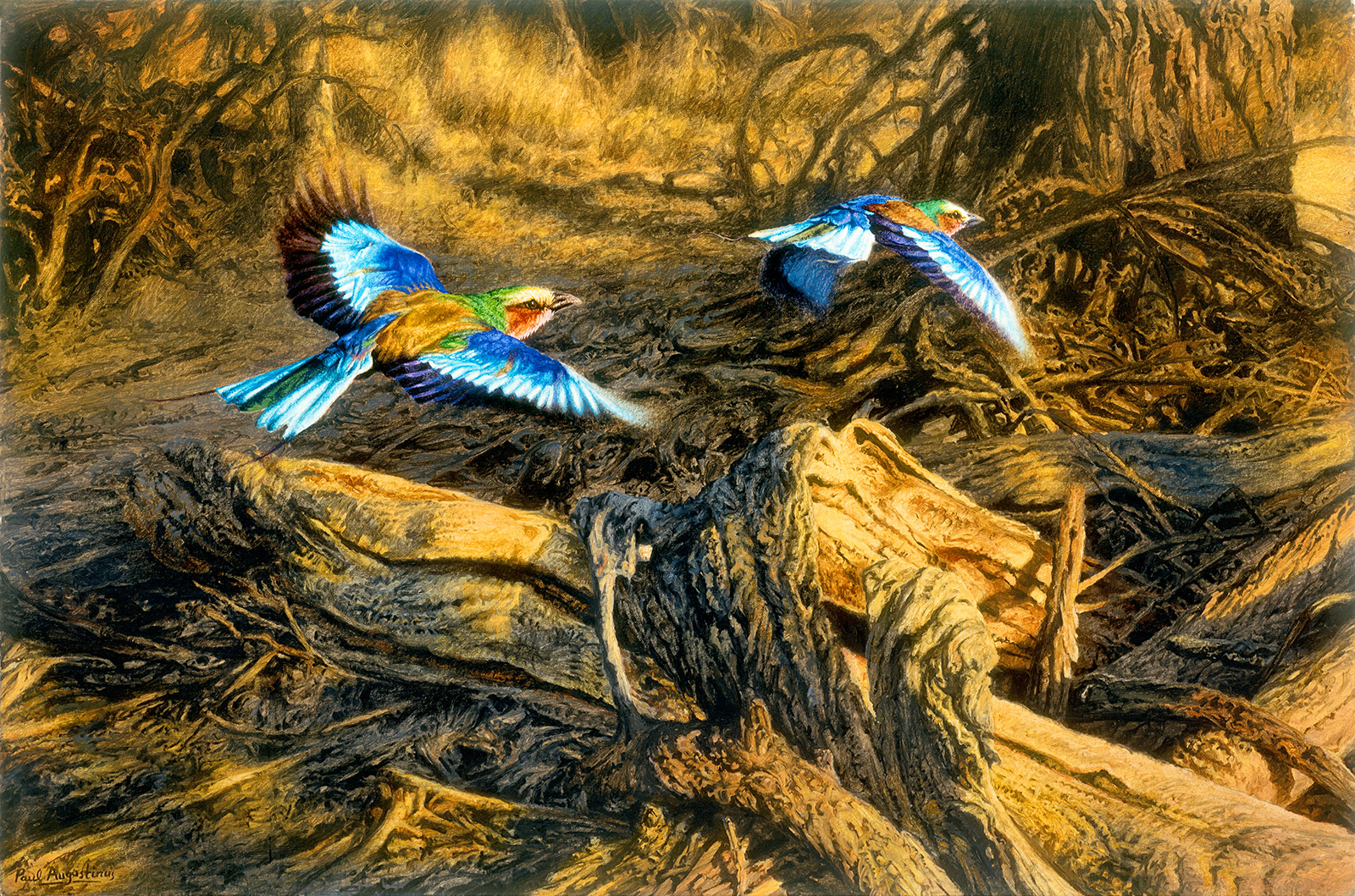 A Paul Augustinus painting of  two lilac breasted rollers flying over and through acacia scrub abd dead trees
