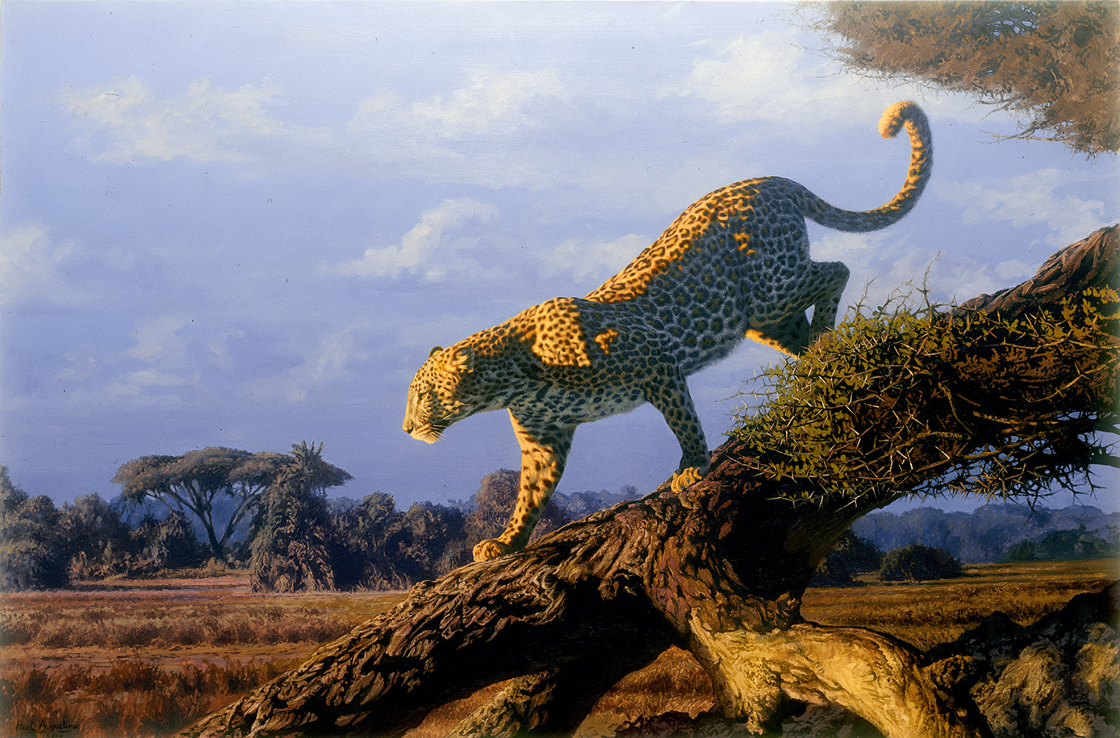 A Paul Augustinus painting of  a leopard walking down a fallen tree trunk in typical Okavango floodplain scenery