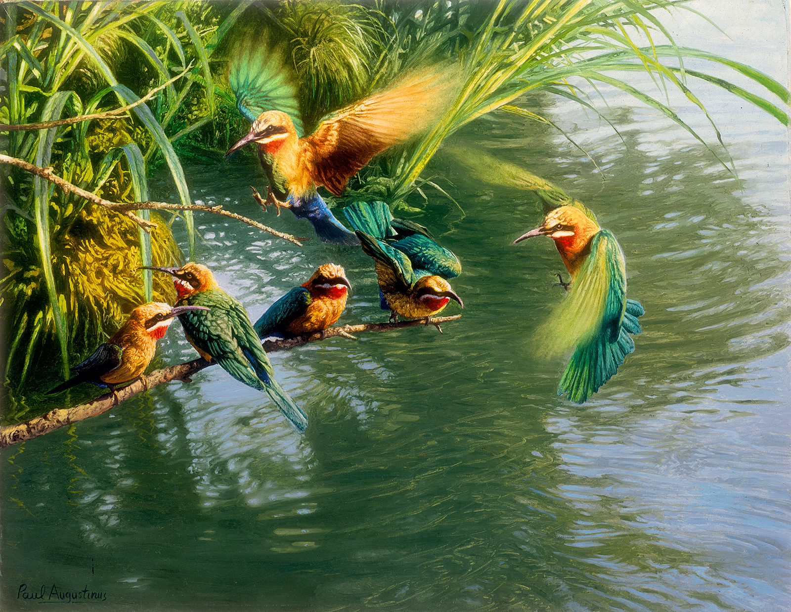 A Paul Augustinus painting of  little bee eaters fluttering around over a branch overhanging the Okavango River at Shakawe in Botswana