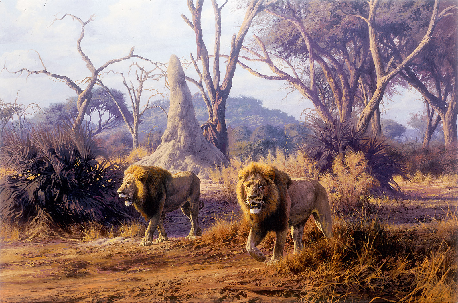 A Paul Augustinus painting of two lions patrolling acacia forest scenery near the Goha Hills in the Chobe National Park in Botswana
