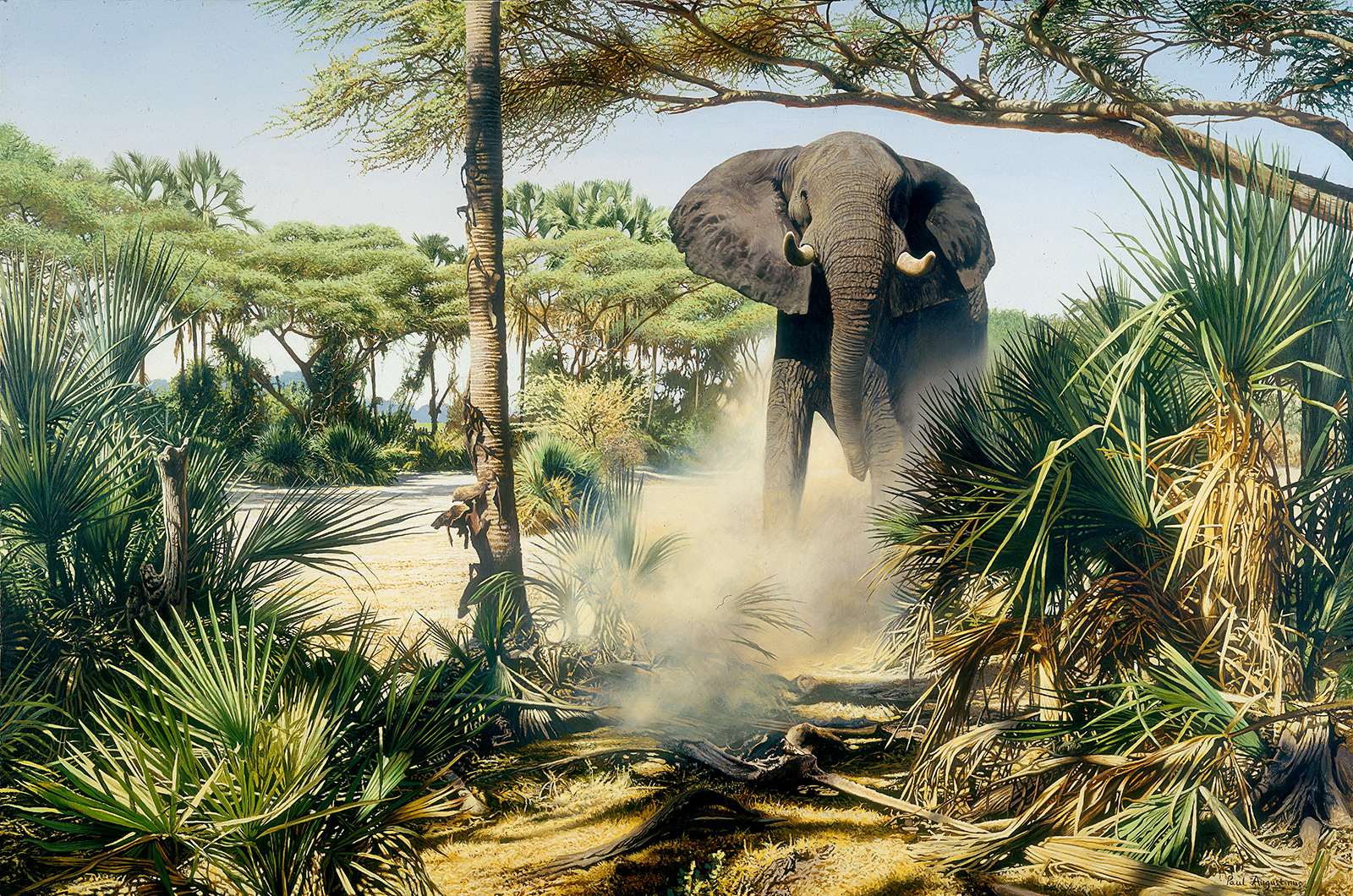 A Paul Augustinus painting of an angry elephant bull in Okavango scenery in the Jau area of Botswana