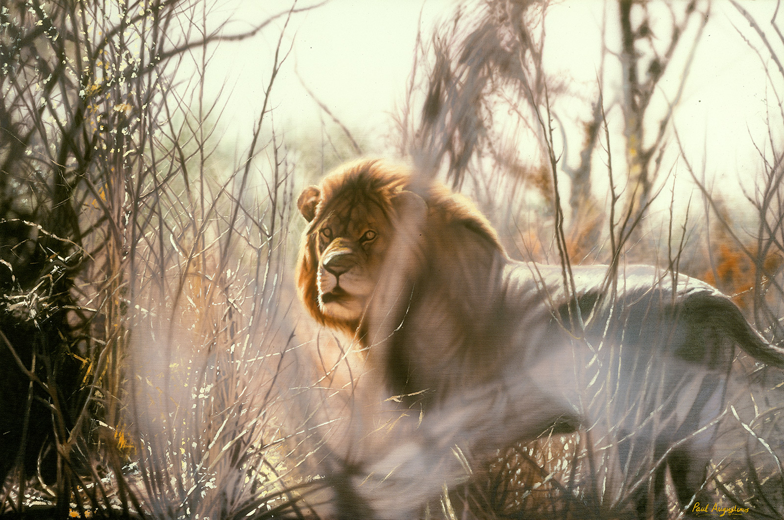 A Paul Augustinus painting of a very irritated lion male at Ngwezumba, Chobe National Park, Botswana