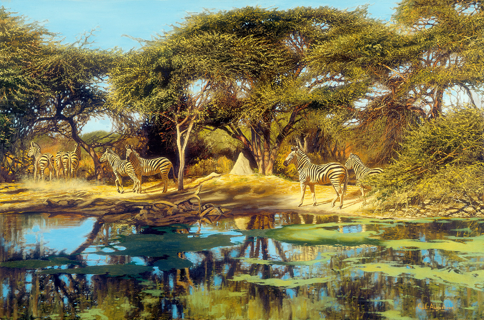 A Paul Augustinus painting of zebra drinking from the Mababe pans in Chobe National Park in Botswana 