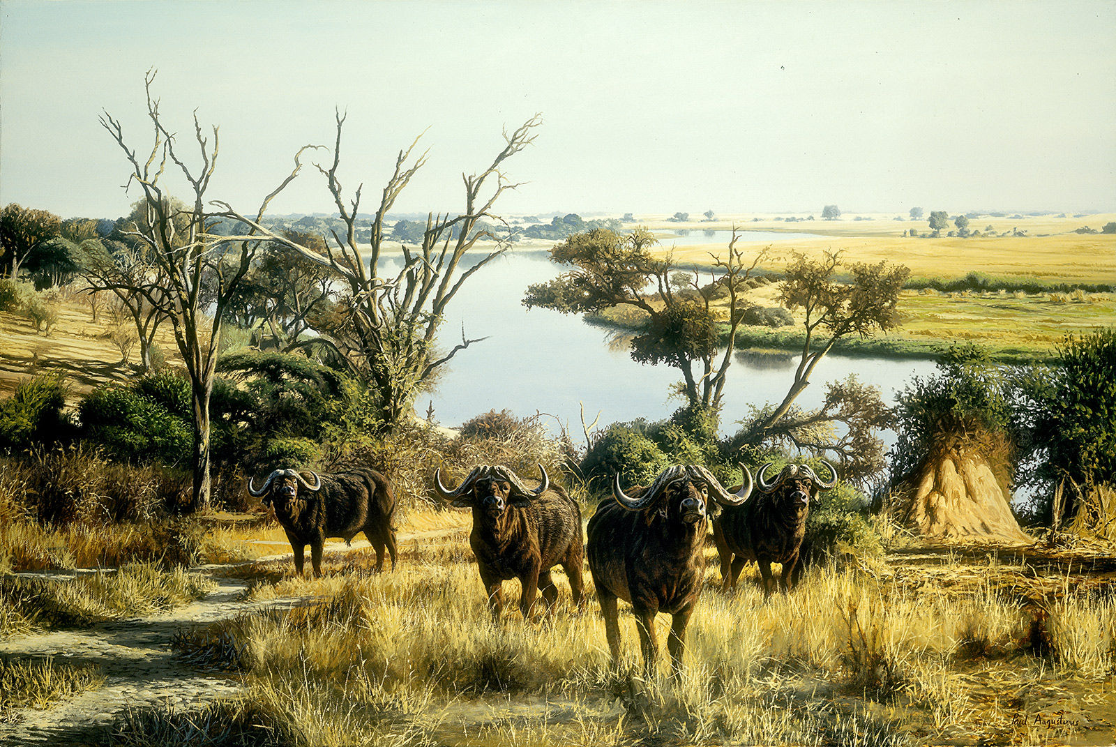 A Paul Augustinus painting of several buffalo on the Chobe River in Botswana at a geographical location known as Kolwezi 