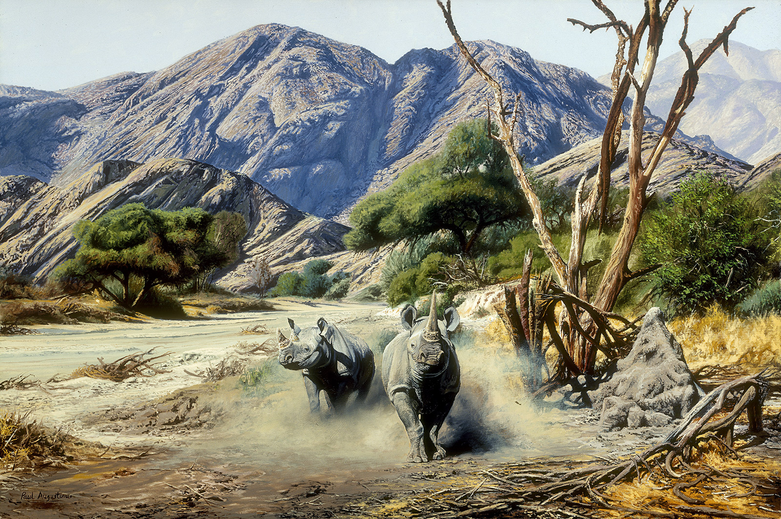 A Paul Augustinus painting of two black rhino in the Kaokoveld in Namibia