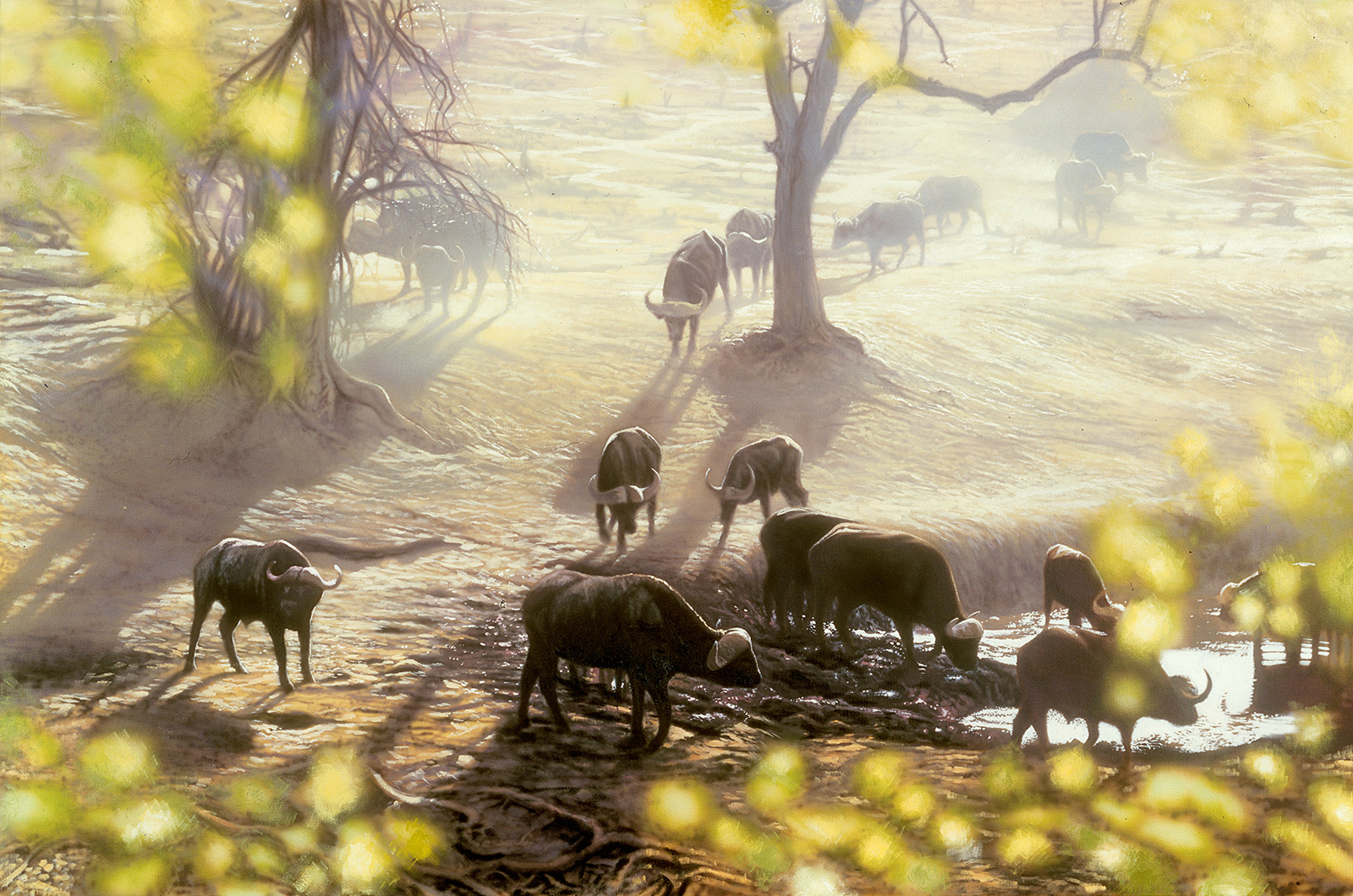 A Paul Augustinus painting of  buffalo coming down to drink at the lowest of the Ngwezumba Pools in Chobe National Park in Botswana