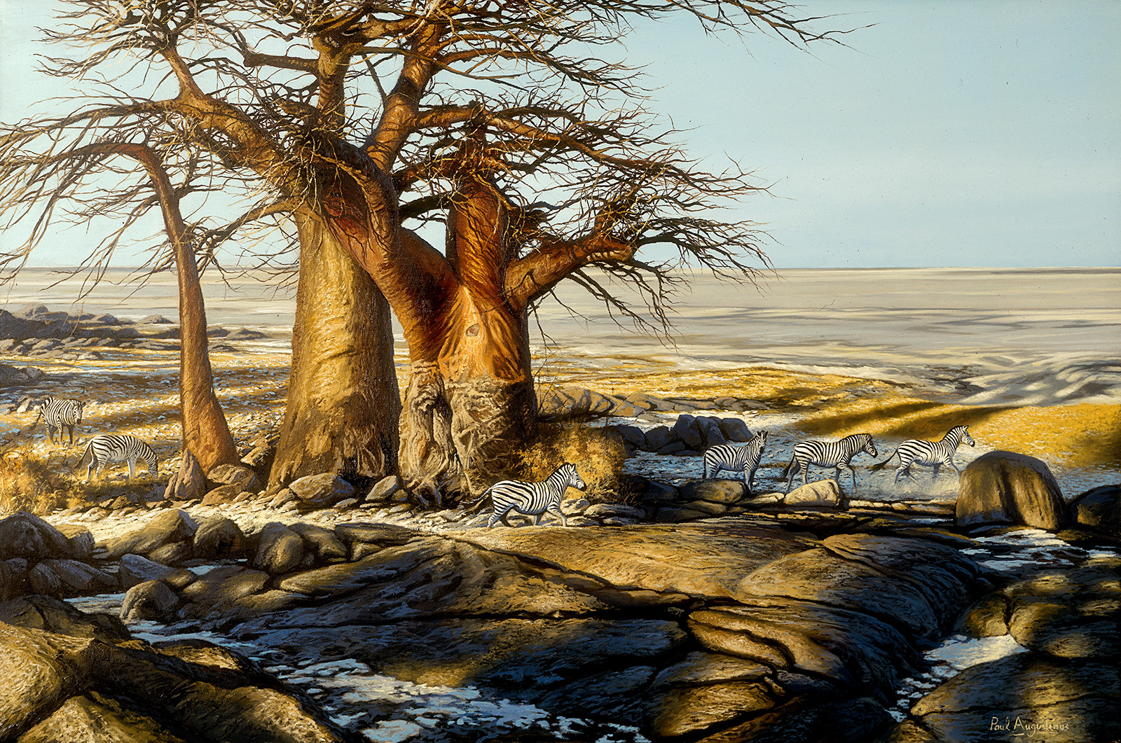 A Paul Augustinus painting of zebra on an island in the Sua Pan area of central Botswana 