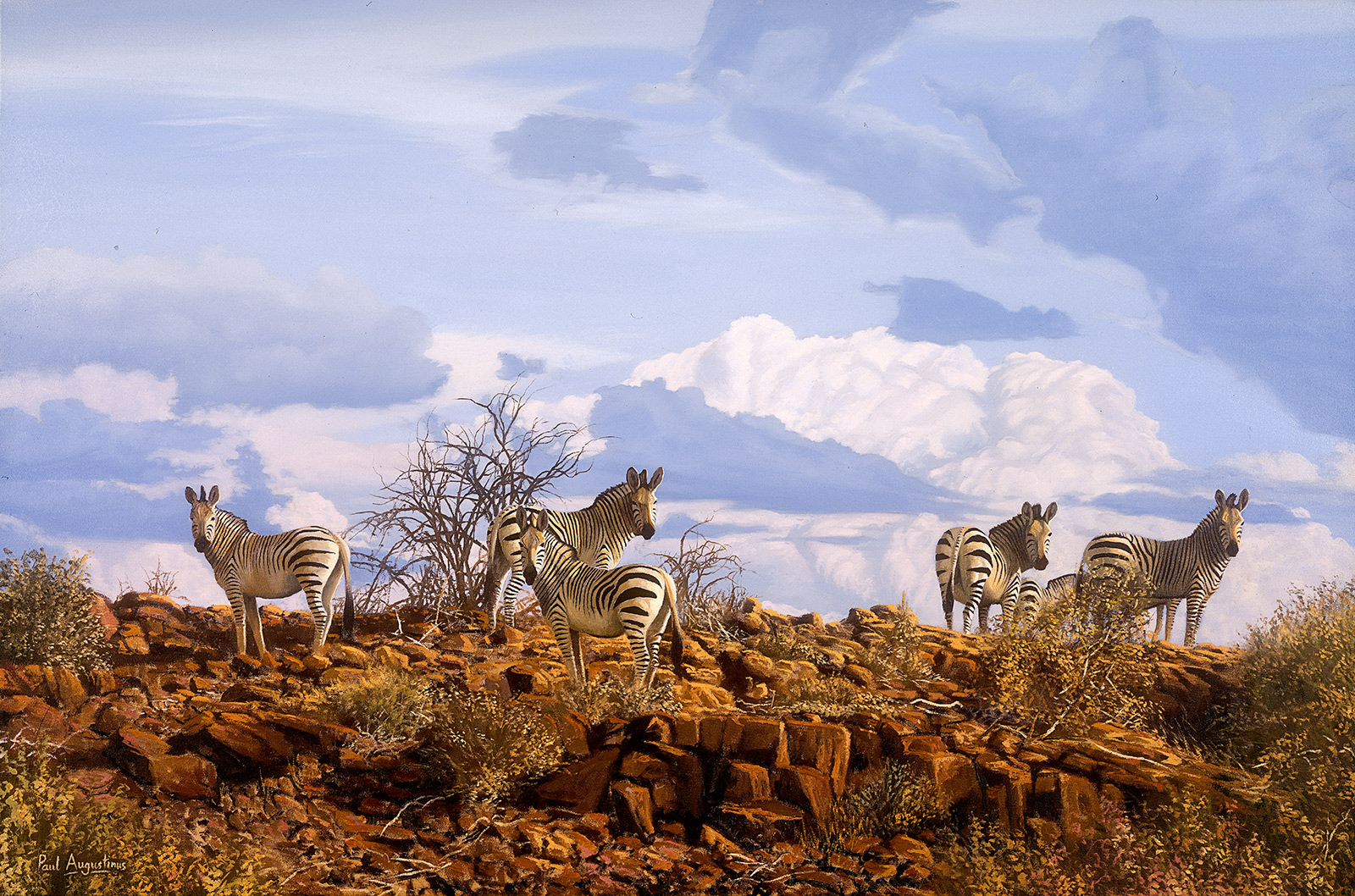A Paul Augustinus painting of  mountain zebra on a red, rocky ridge in Damaraland in Namibia