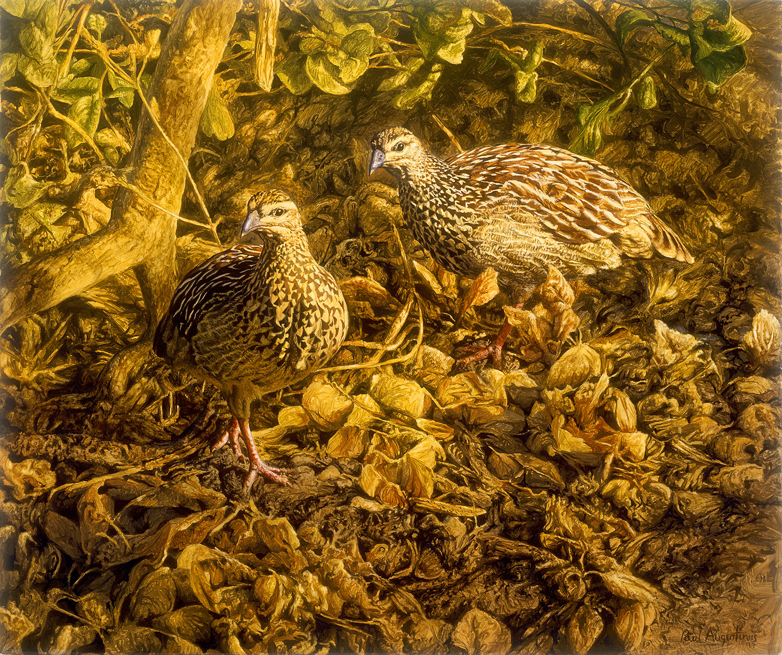 A Paul Augustinus painting of francolins foraging in the undergrowth near Serondella in the Chobe National Park, in Botswana