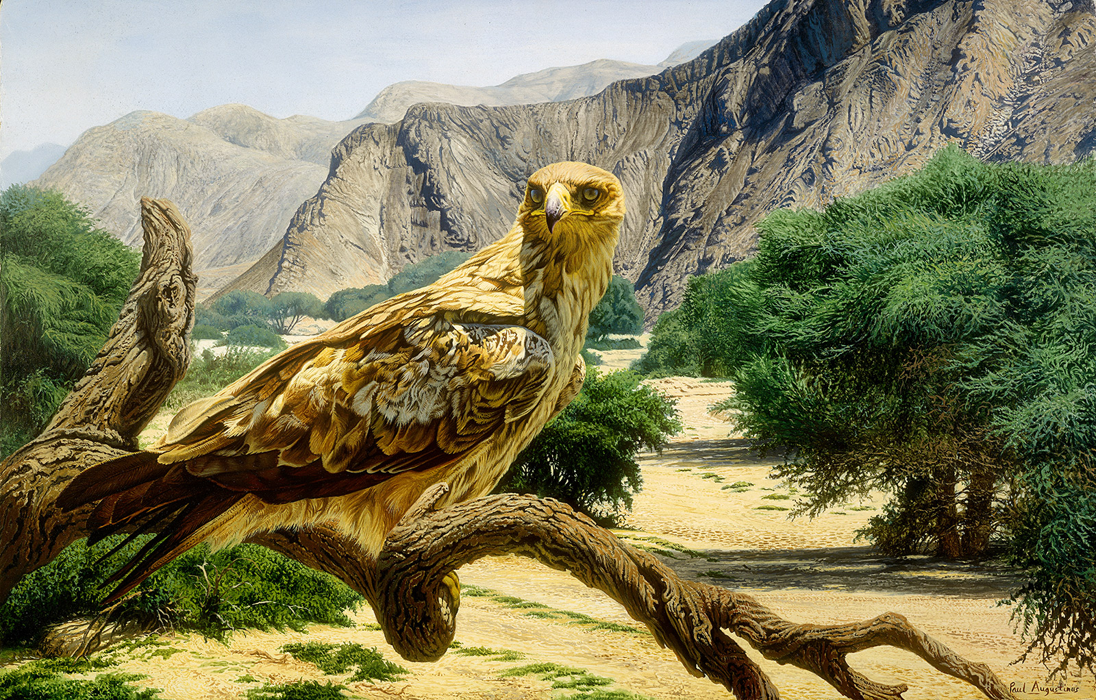 A Paul Augustinus painting of the wide valley of the Hoanib River in Namibia