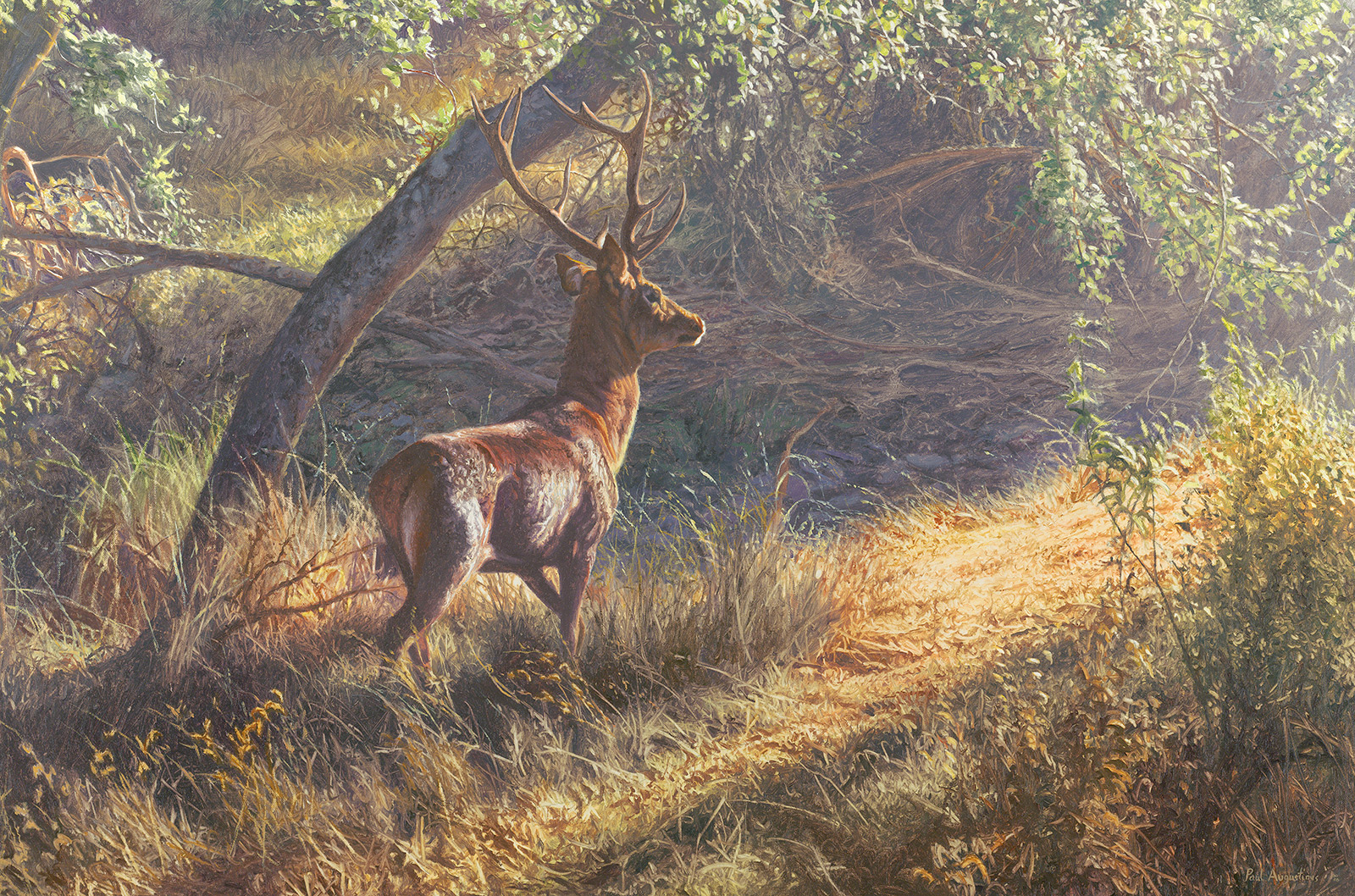 A Paul Augustinus painting of a red deer in thick bush in Southern Spain