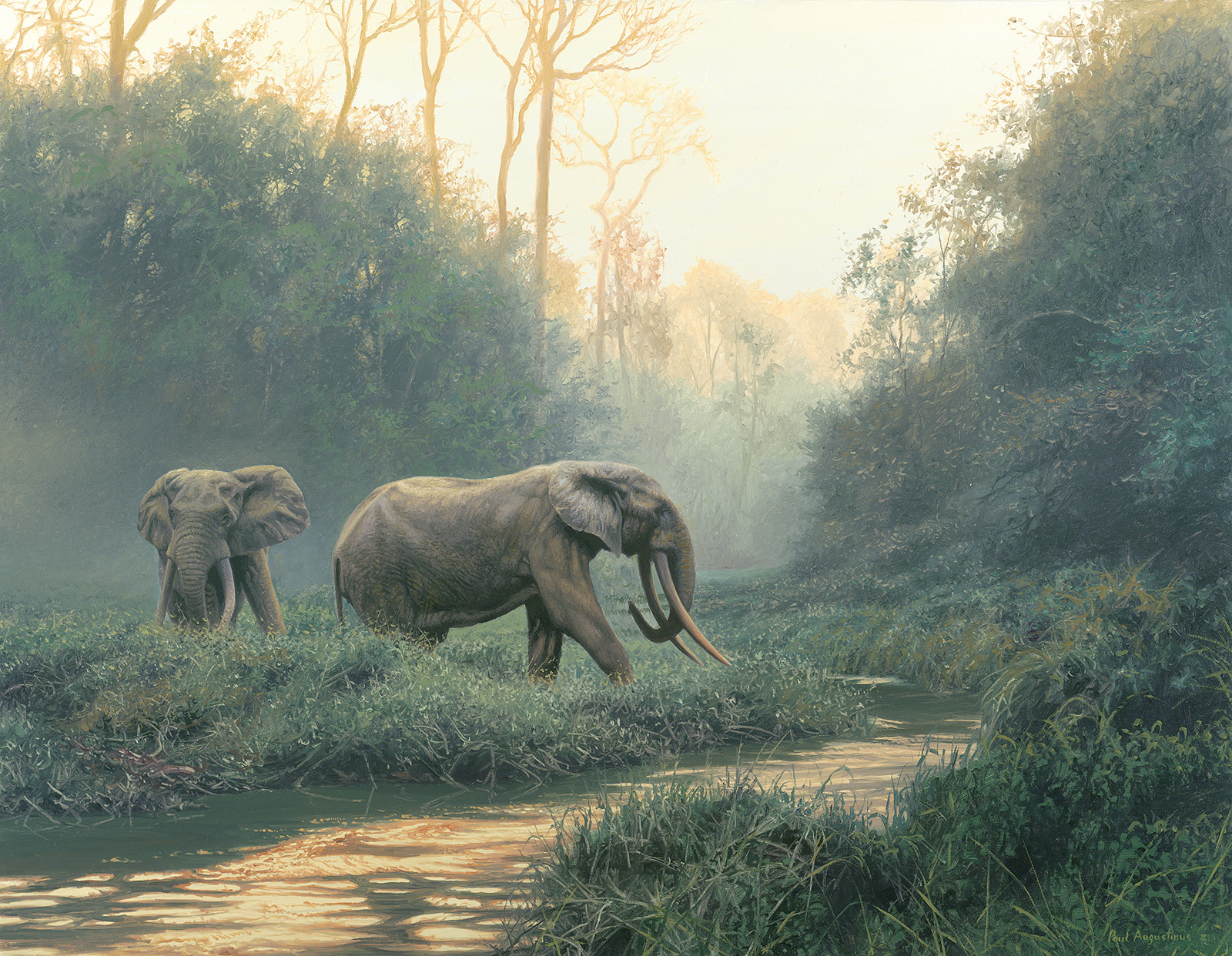 A Paul Augustinus painting of two Congo elephants in a rainforest glade
