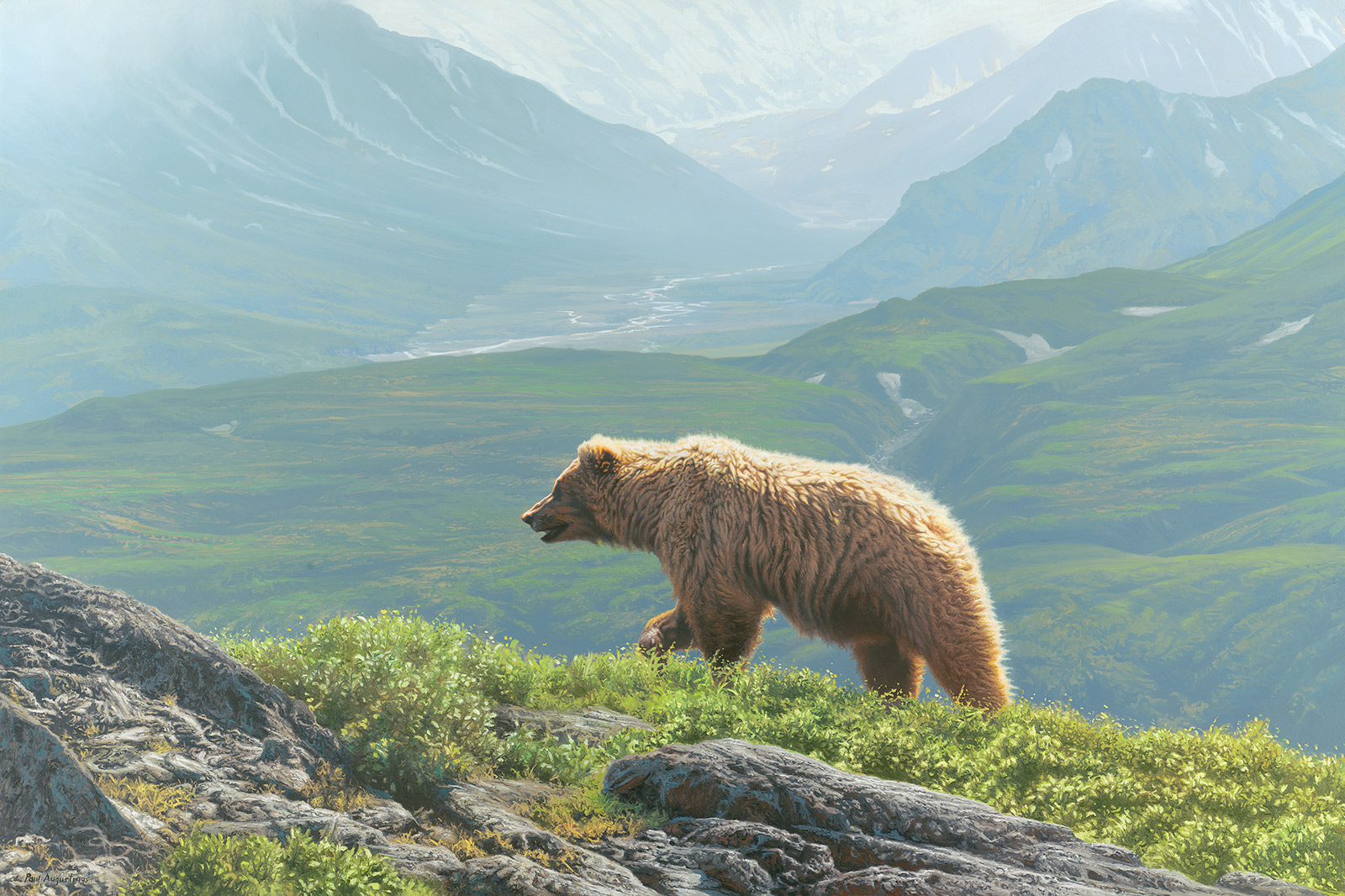 A Paul Augustinus painting of a brown bear walking along a grassy ridge in the mountains of Denali national Park in Alaska