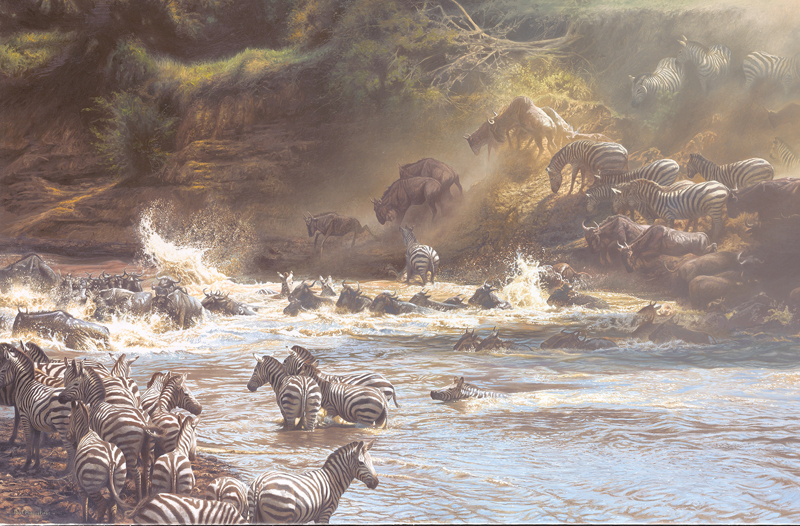 A Paul Augustinus painting of wildebeest crossing the Mara River in the Triangle, Kenya,  