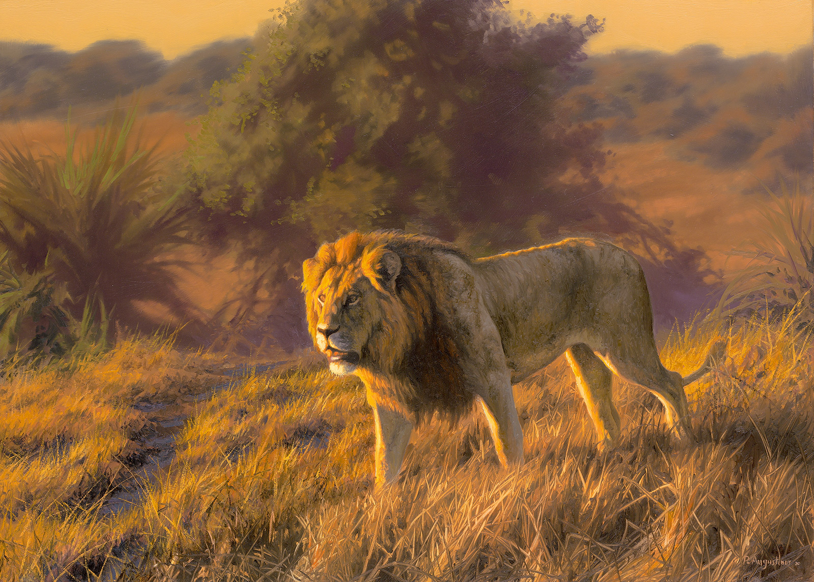 A Paul Augustinus painting of a lion hunting in evening light in the Chitabe area of the Okavango in Botswana