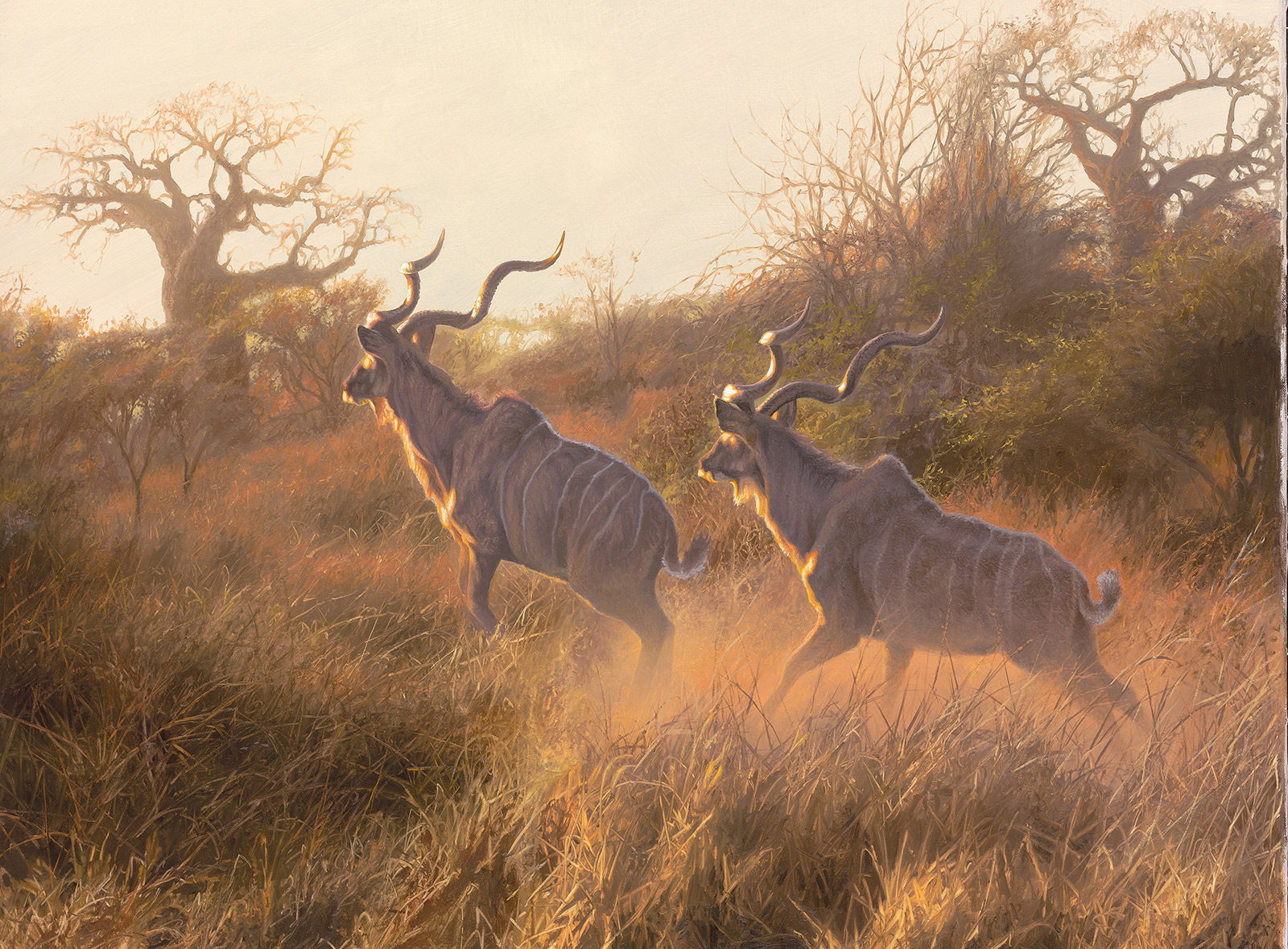 A Paul Augustinus painting of two kudu running through the dense bush of central Botswana