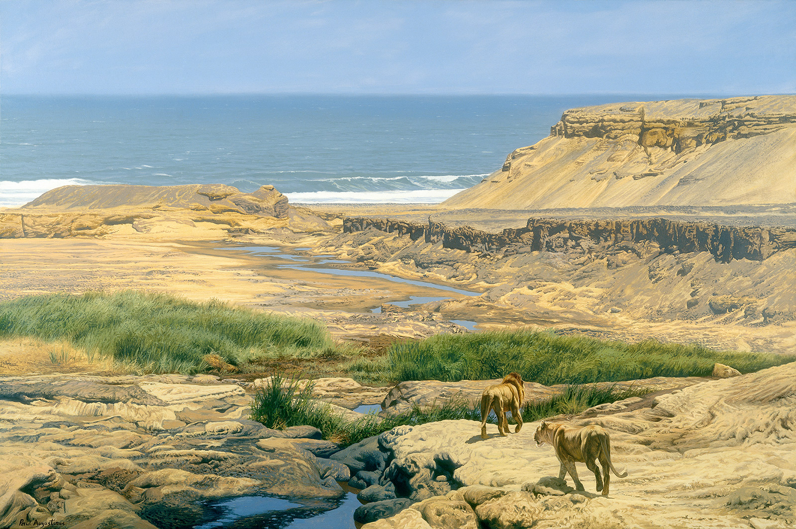 A Paul Augustinus painting of  two lions walking down the bed of the Uniab River on the Skeleton Coast of Namibia