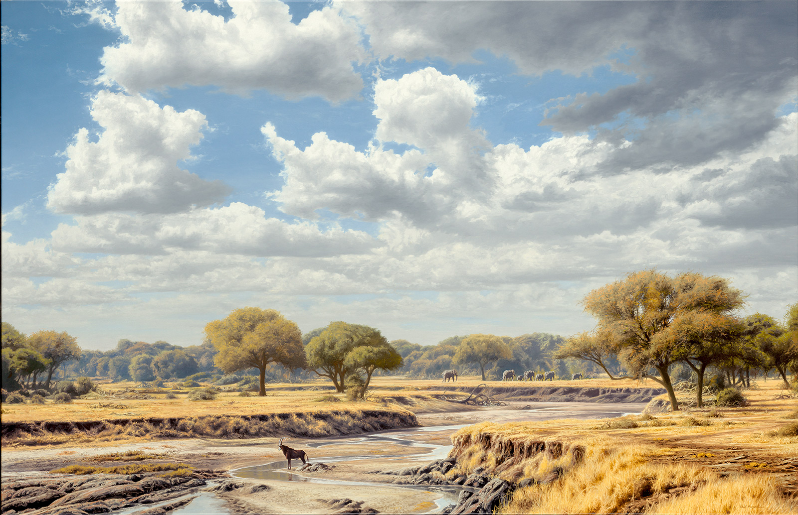 A Paul Augustinus painting of a lone sable antelope drinking from a pool in the Ngwezumba River in the Chobe National Park in Botswana