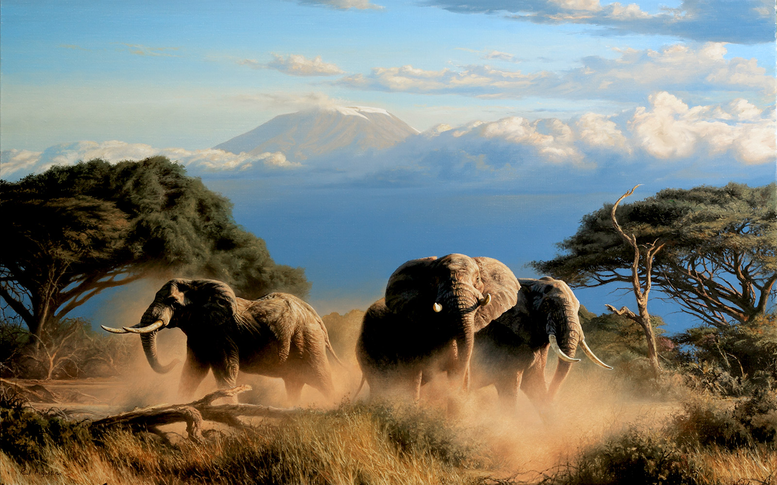 A Paul Augustinus painting of a herd of elephants in the acacia forests on the plains beneath Kilimanjaro
