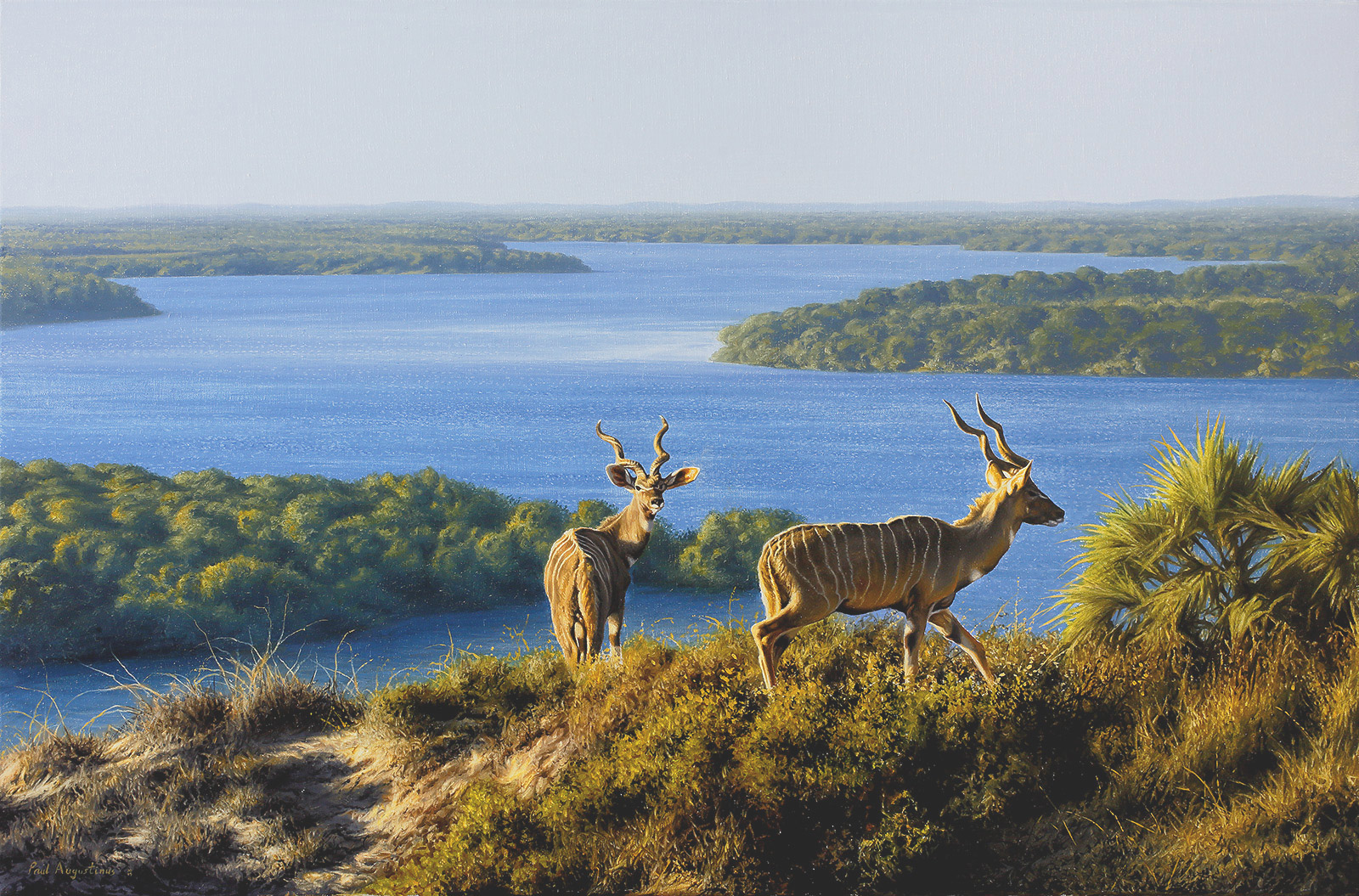 A Paul Augustinus painting of two lesser kudu on a ridge overlooking the mangroves on the coast of Kenya at Dodori National Reserve 