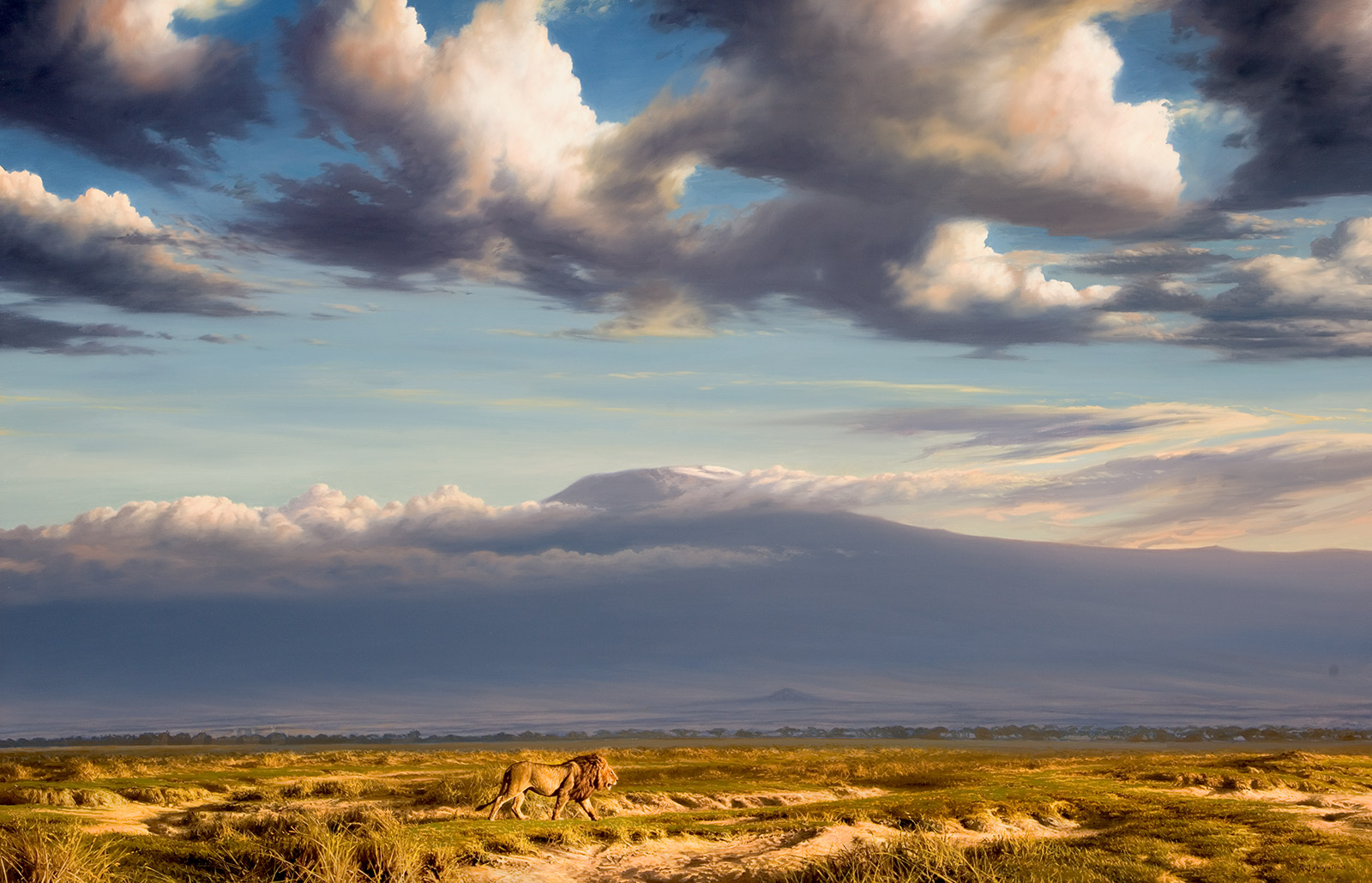 A Paul Augustinus painting of a male lion walking across a plain in the countryside below Kilimanjaro in Kenya