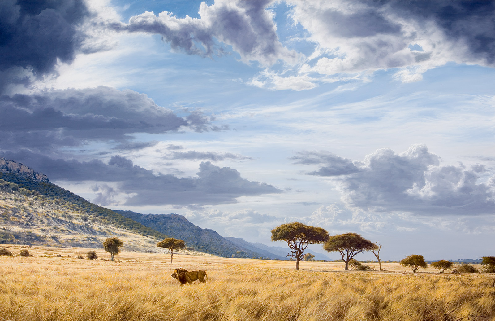 A Paul Augustinus painting of a lion walking across a wide plain in the Mara Triangle with an escarpment looming in the background 