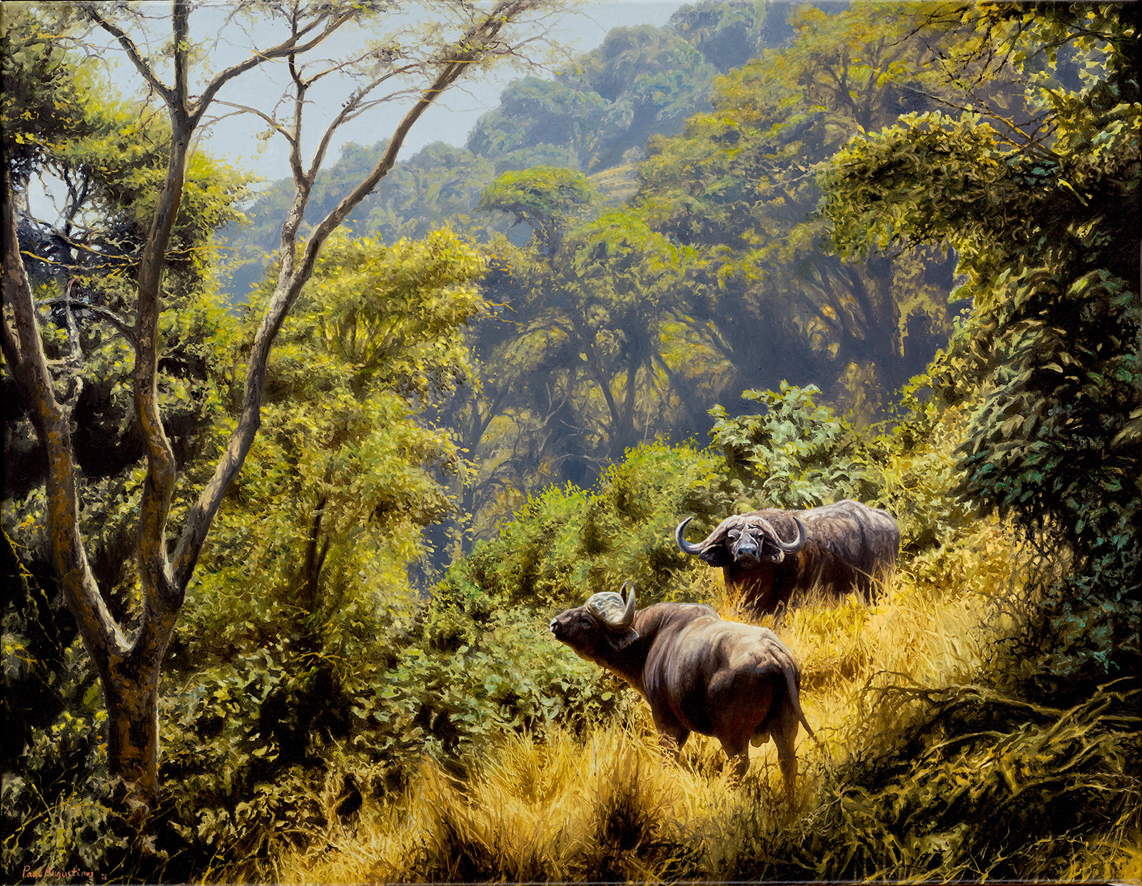 A Paul Augustinus painting of two buffalo in the mountain rainforest atop Burko Mountain in Tanzania 