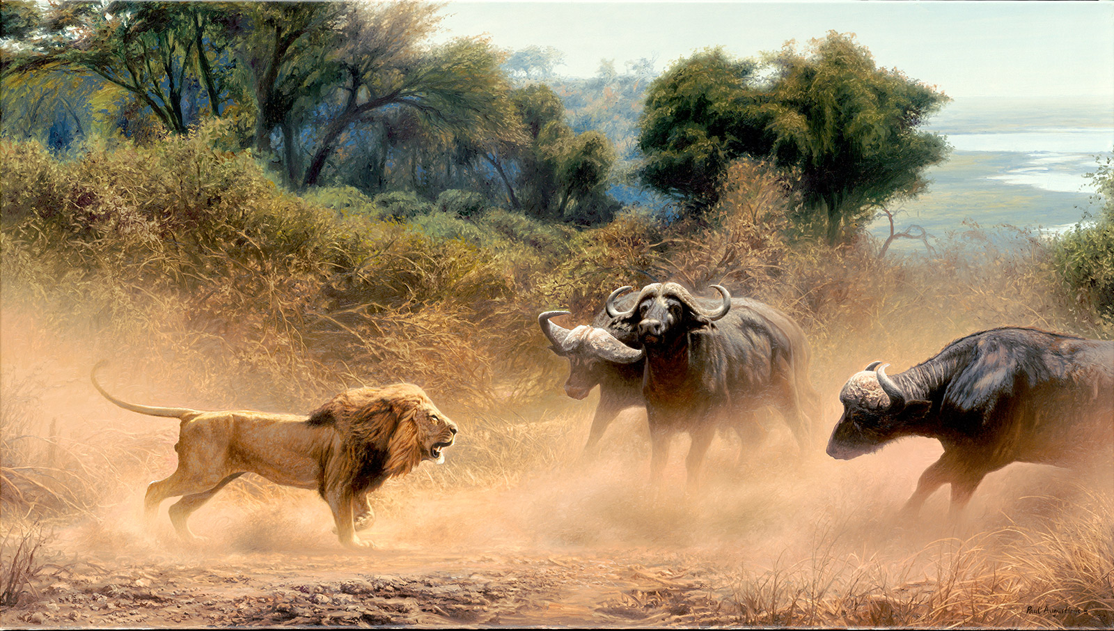 A Paul Augustinus painting of a lion attacking several buffalo in a dramatic encounter seen by Paul Augustinus in Botswana 
