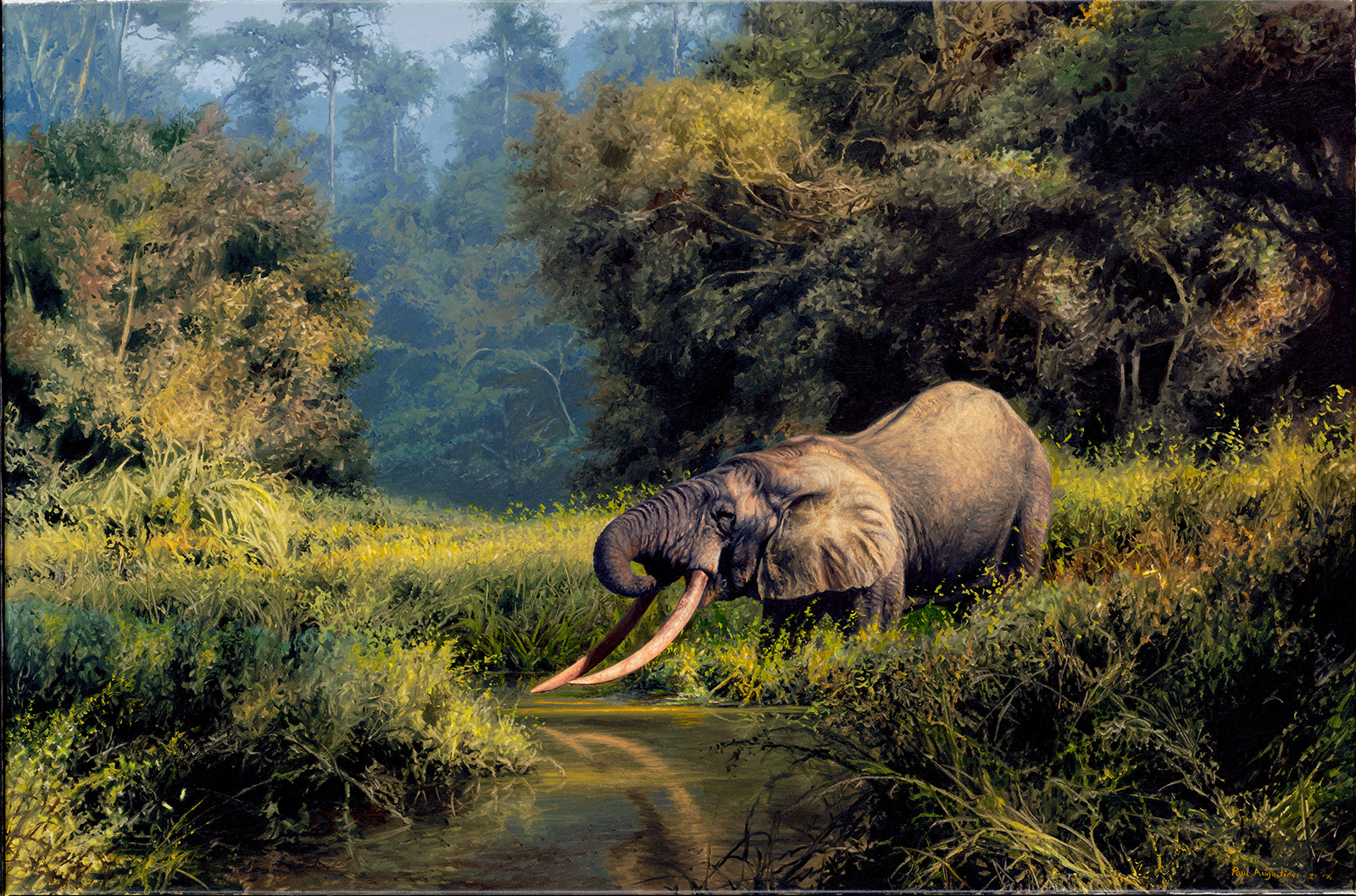A Paul Augustinus painting of a big tusked forest elephant in the Ndoki Forest in Congo Brazzaville