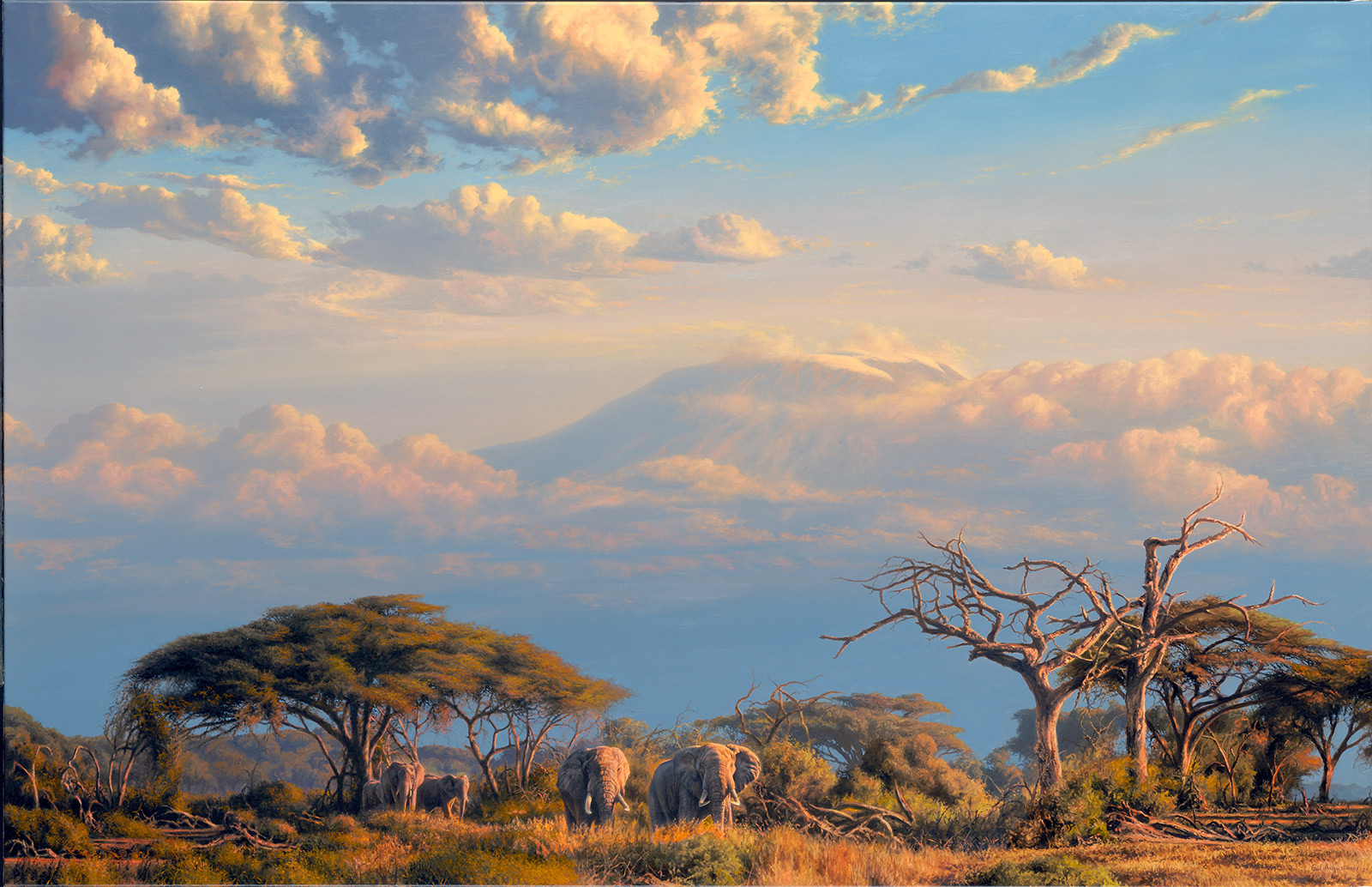 A Paul Augustinus painting of Kilimanjaro in evening light from the Kenya side of the border, near Amboseli