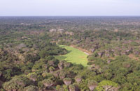 An aerial view of the Boni Forest with a small swampy clearing in the foregroung. 
