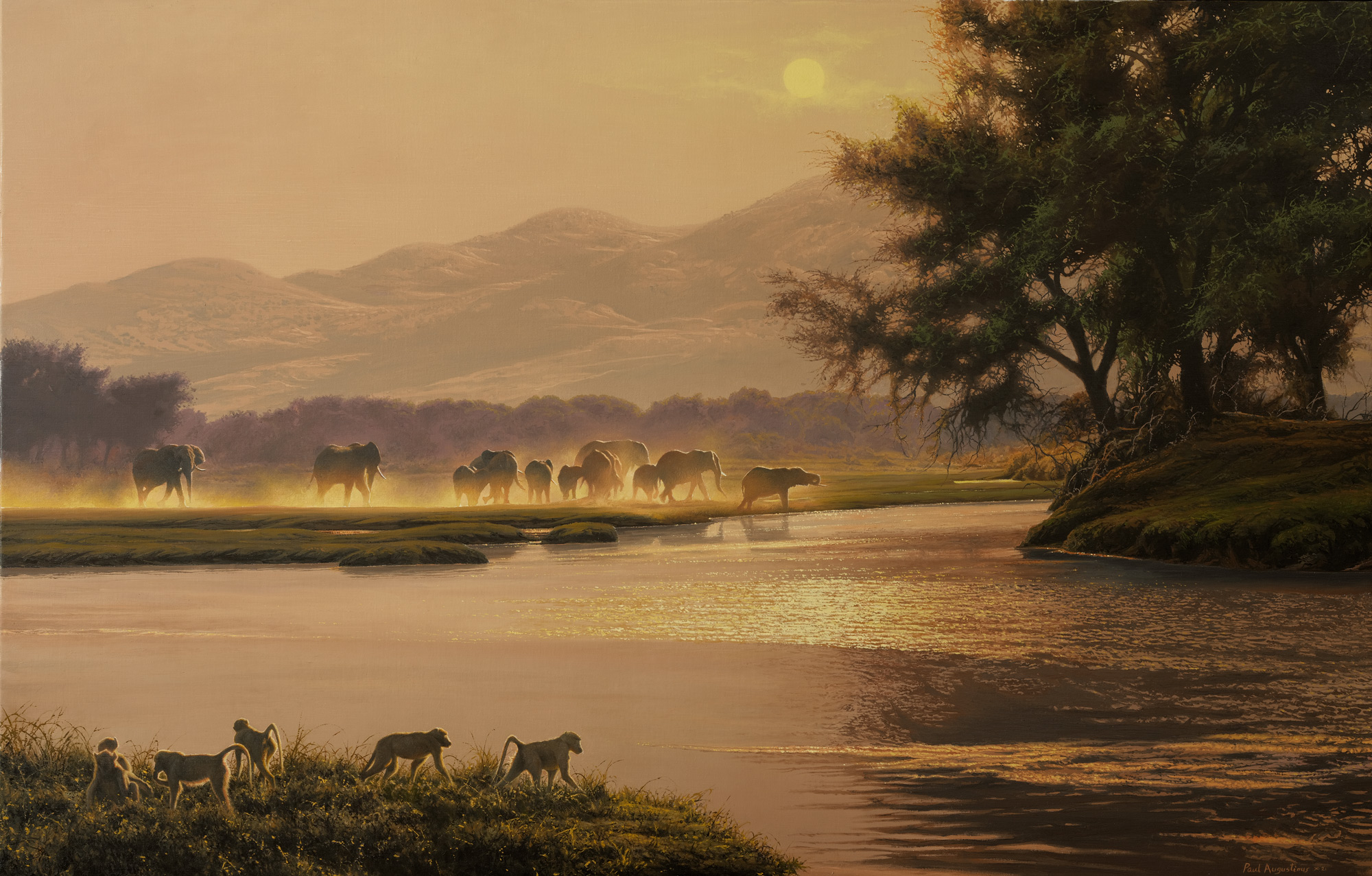 A Paul Augustinus painting of elephant and baboons set in a dust evening scene of the Zambezi Valley.