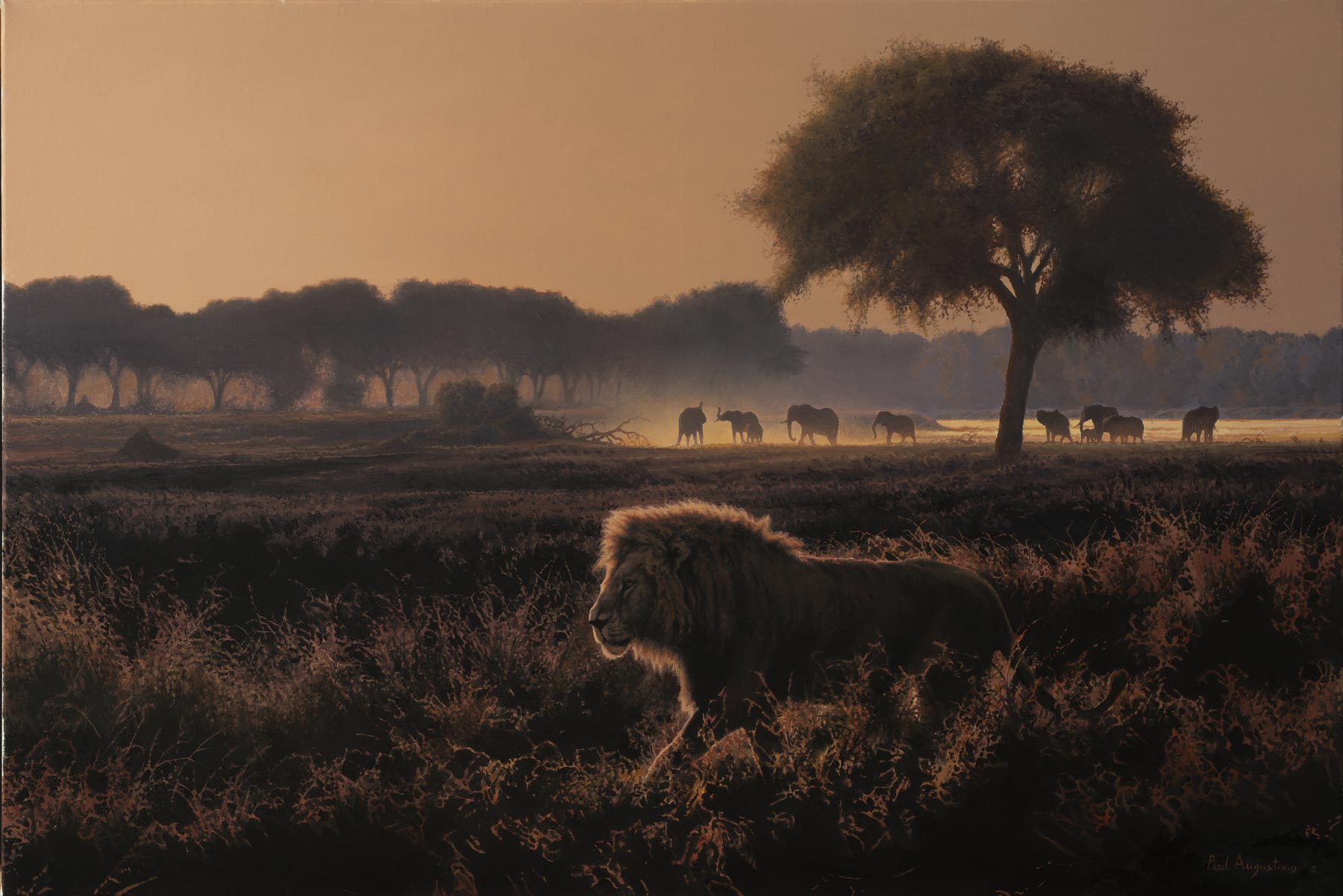  A Paul Augustinus painting of a lion on a back lit floodplain with elephants and dust in the distance 