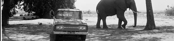 Paul Augustinus image of an elephant walking past a pick up in a campsite in the Mana Pools Game Reserve