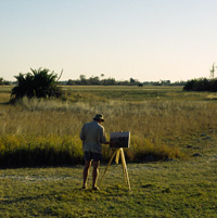 Paul Augustinus at work on a painting at Chitabe in the Okavango in Botswana