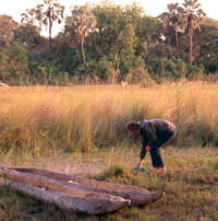 The campsite of Paul and Clarissa Augustinus in the Okavango, Botswana