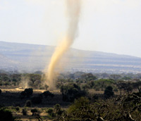 A whirlwind of dust crosses an Amboseli plain in Kenya