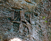 The carved initials of James Chapman, a Victorian explorer who passed through the Makgadikgadi Pans region of Botswana in the 1860s