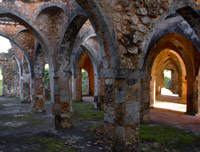 Old arab Swahili Coast ruins at Kilwa