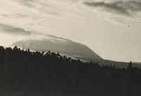 Kilimanjaro in the evening light seen from Arusha