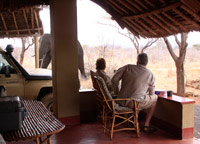 Paul and Clarissa Augustinus watch an elephant from the veranda of their banda at Kitani in Tsavo West National Park in Kenya