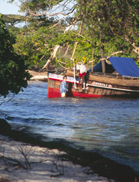 A dhow beached in a mangrove inlet on the Swahili Coast in Kenya