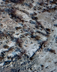 An aerial view of the wall at Kubu Island in Botswana