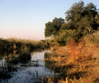 A view of the Linyanti River in Northern Botswana, which is the boundary with Namibia as well
