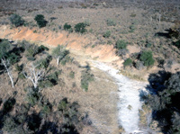 An aerial view of the Ngwezumba in Botswana