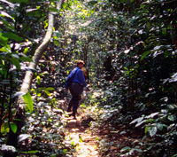 Clarissa Augustinus in the wildest parts of the Ndoki rainforest in Congo 