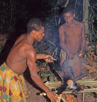 Two benjele prepare bush meat over a fire in the Ndoki Forest of Congo Brazzaville